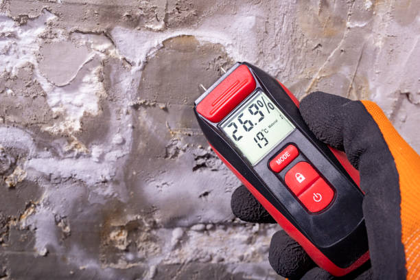 Best Mold Cleaning Services  in Mcqueeney, TX
