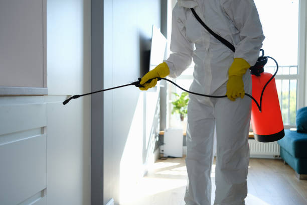 Best Toxic Mold Removal  in Mcqueeney, TX