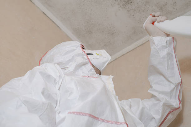 Best Local Mold Removal Service  in Mcqueeney, TX