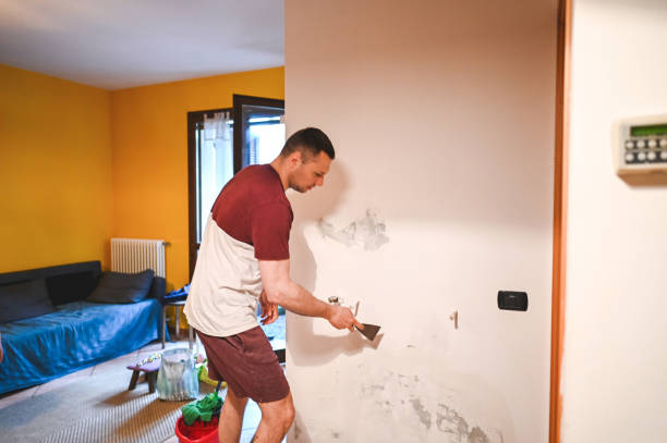 Best Toxic Mold Removal  in Mcqueeney, TX