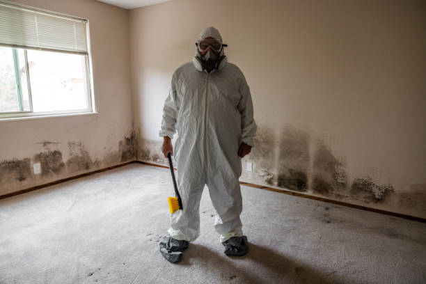 Water Damage Restoration in Mcqueeney, TX